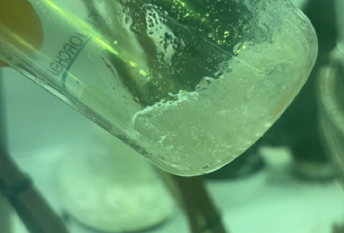 Forever Chemicals – The Invisible Poison That Never Dies