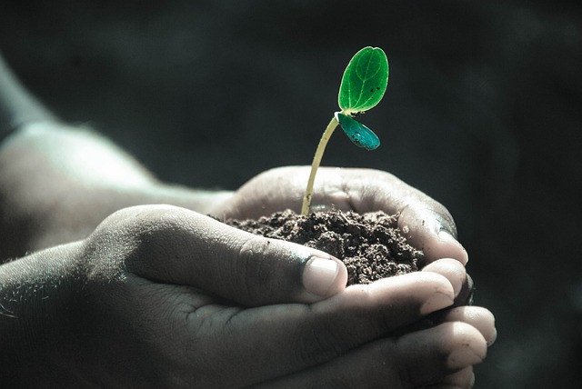 जीवन और उसके घटक (Life and Its Components)