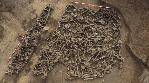 Vienna में मिला Roman Soldiers का Mass Grave: 150 शवों की खोज