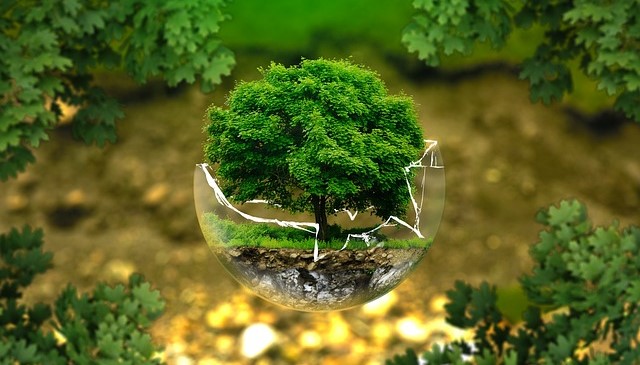 पर्यावरण और पारिस्थितिकी का अध्ययन (Study of Environment and Ecology)